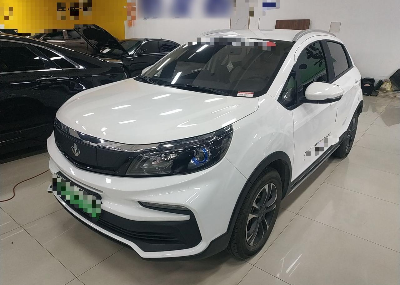 枫叶汽车 枫叶30X 2020款 风范版