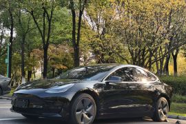 特斯拉 Model 3 2020款 改款 标准续航后驱升级版