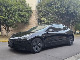 特斯拉 Model 3 2021款 标准续航后驱升级版 3D6