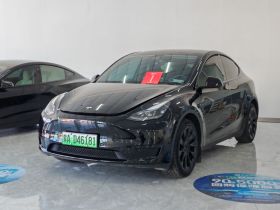 特斯拉 Model Y 2022款 后轮驱动版