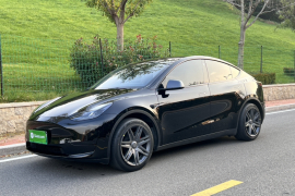 特斯拉 Model Y 2022款 后轮驱动版