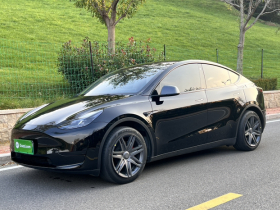 特斯拉 Model Y 2022款 后轮驱动版