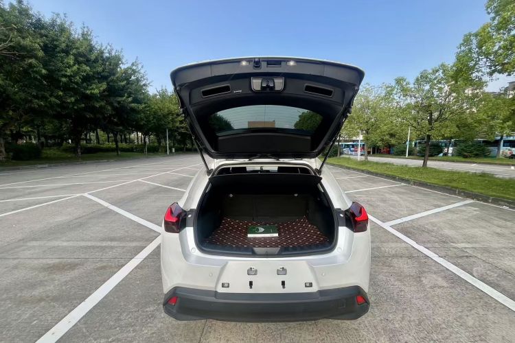 雷克萨斯UX新能源 2020款 300e 纯·享版局部细节23