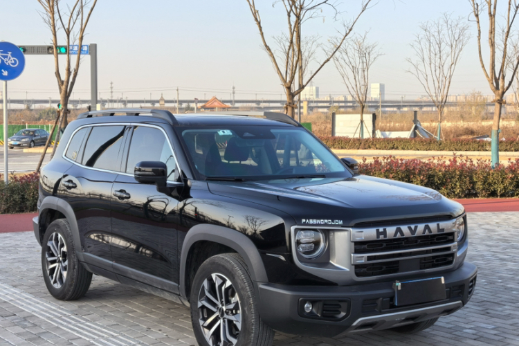 哈弗大狗 2024款 1.5T DCT边牧版车身外观6005