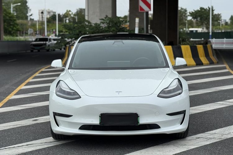 特斯拉 Model 3 2020款 改款 长续航后轮驱动版车身外观6004