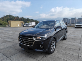 哈弗H6 2021款 国潮版 1.5T 自动冠军版