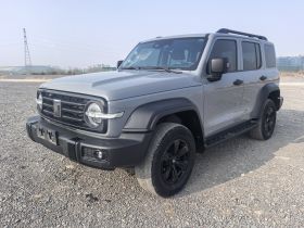 坦克300 2024款 2.0T 挑战者