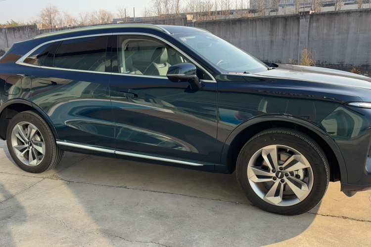 魏牌 摩卡新能源 2024款 Hi4 四驱长续航版车身外观6004