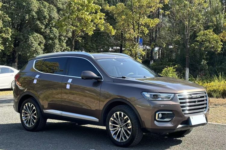哈弗H6 2020款 1.5GDIT 自动铂金冠军版车身外观6005