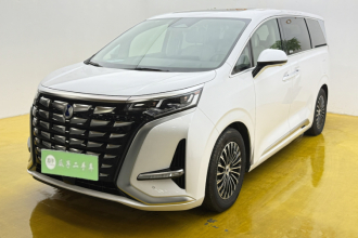 腾势D9 2024款 DM-i 980 四驱尊荣型