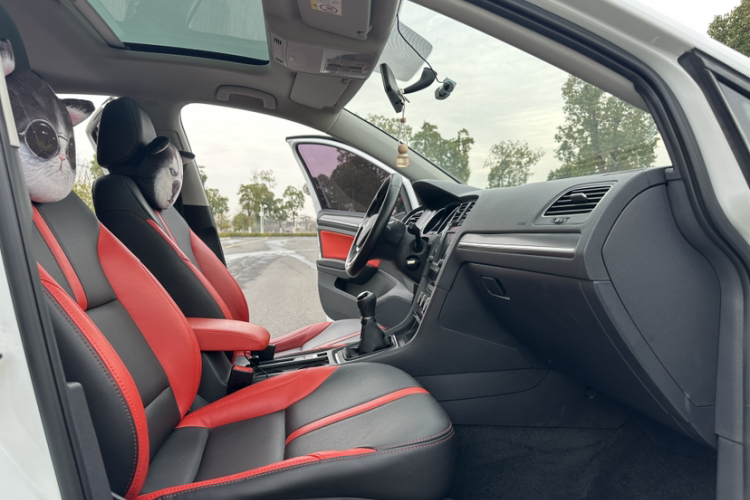 大众 高尔夫 2017款 230TSI 手动舒适百万辆纪念版中控内饰7001