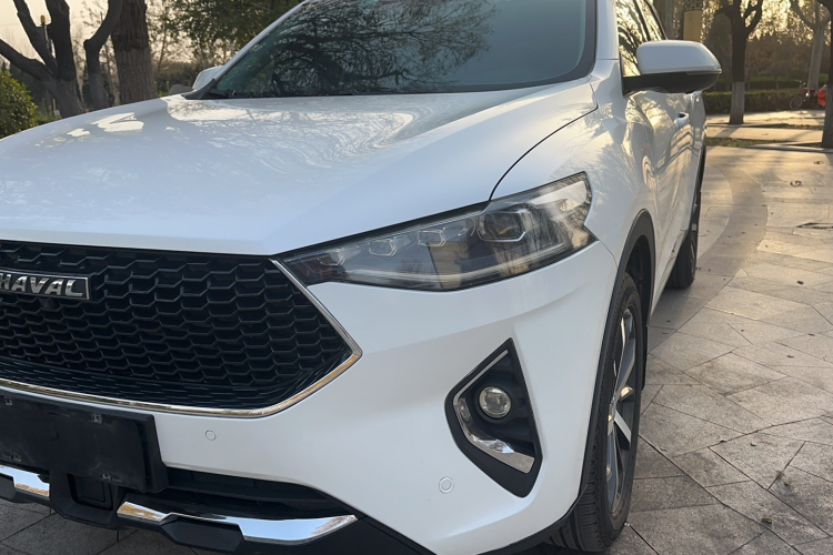 哈弗F7 2019款 1.5T 两驱i潮 国V局部细节36