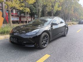 特斯拉 Model 3 2022款 后轮驱动版