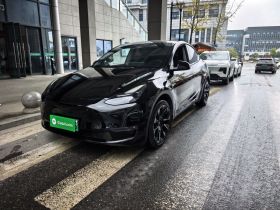 特斯拉 Model Y 2022款 长续航全轮驱动版
