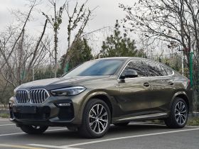 宝马X6 2020款 xDrive30i M运动套装