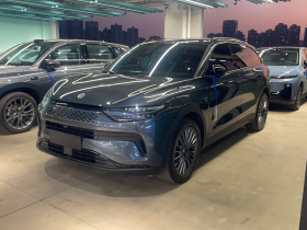 零跑汽车 零跑C11 2023款 增程 300舒享版