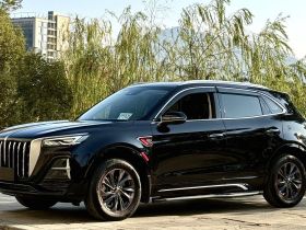 红旗HS5 2023款 2.0T 旗享Pro版