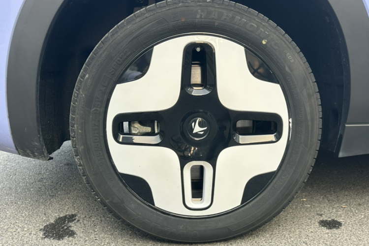 ARCFOX极狐 极狐考拉 2023款 家庭版车身外观6010