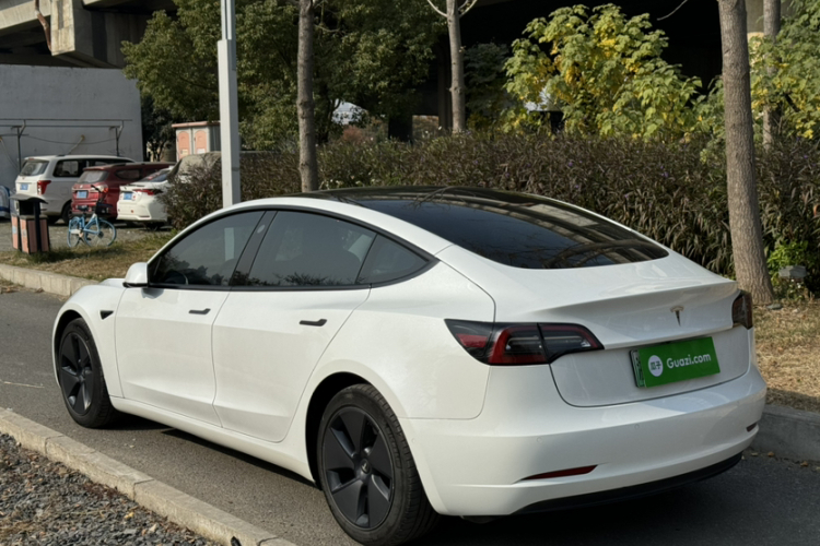 特斯拉 Model 3 2021款 改款 标准续航后驱升级版 3D1车身外观6007