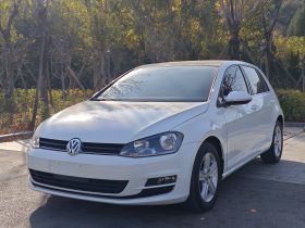 大众 高尔夫 2015款 1.6L 自动舒适型