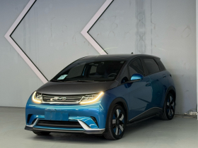 比亚迪 海豚 2021款 401km 骑士版