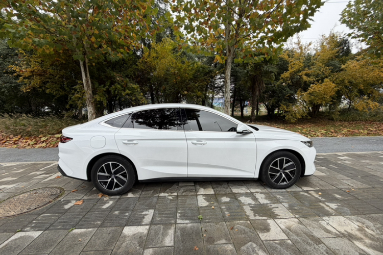 比亚迪 秦L 2024款 DM-i 80KM超越型车身外观6002