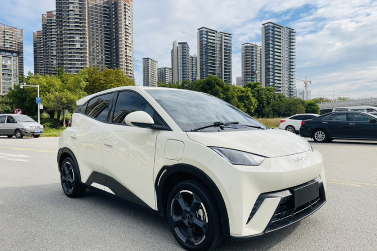 比亚迪 海鸥 2023款 自由版车身外观6008