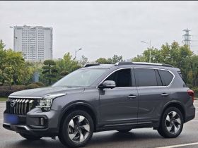 广汽传祺 传祺GS8 2020款 GS8S 390T 两驱豪华智联版