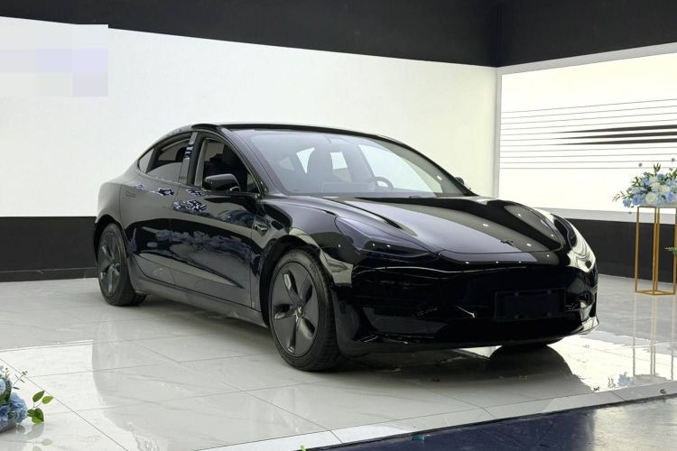 特斯拉 Model 3 2020款 标准续航后驱升级版车身外观6002