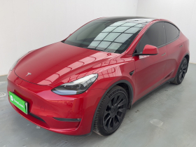 特斯拉 Model Y 2021款 长续航全轮驱动版 3D7