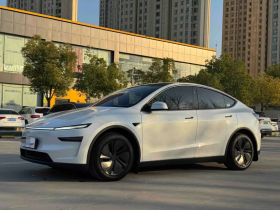 特斯拉 Model Y 2025款 后轮驱动版