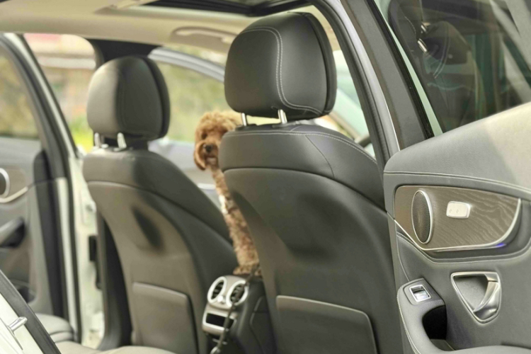 奔驰C级 2020款 改款 C 200 L 时尚型运动版中控内饰7007