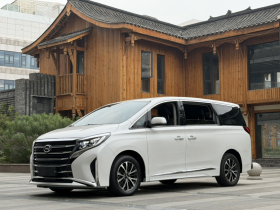 广汽传祺 传祺M8 2023款 领秀系列 390T 豪华版