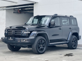 坦克300 2023款 城市版 2.0T 很有型