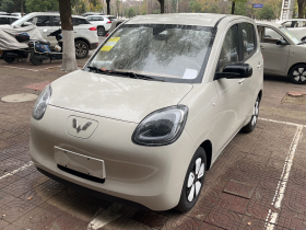 五菱汽车 宏光MINIEV 2025款 四门版 进阶款