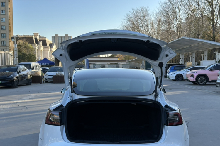 特斯拉 Model 3(进口) 2019款 长续航后驱版局部细节23