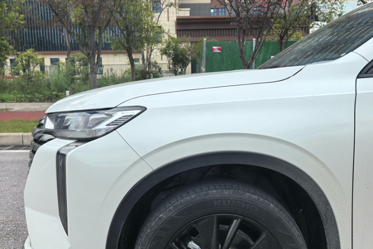 哈弗H6 2024款 2.0T 四驱Max车身外观6007