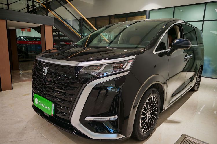 腾势D9 2024款 DM-i 980 四驱尊荣型车身外观6004