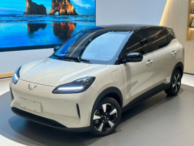 五菱汽车 五菱缤果PLUS 2024款 330km 五座版