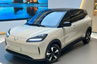 五菱汽车 五菱缤果PLUS 2024款 330km 五座版