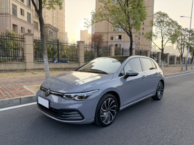 大众 高尔夫 2021款 280TSI DSG Pro