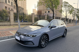 大众 高尔夫 2021款 280TSI DSG Pro