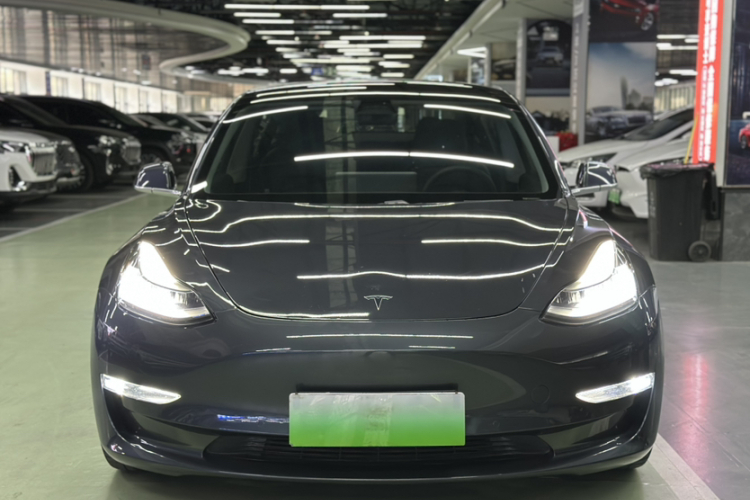 特斯拉 Model 3(进口) 2019款 长续航全轮驱动版车身外观6006