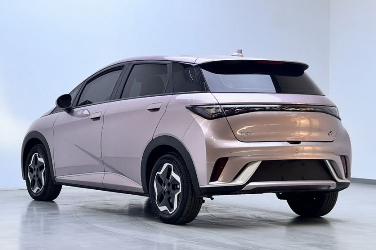 比亚迪 海豚 2021款 405km 时尚版车身外观6008