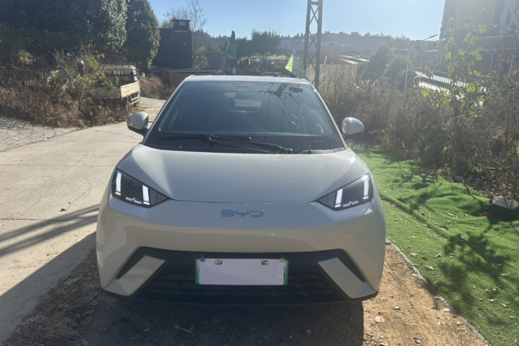 比亚迪 海鸥 2025款 305km 自由版车身外观6008