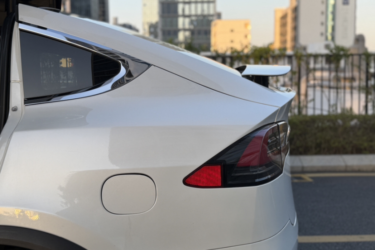 特斯拉 Model X 2019款 长续航版局部细节9004