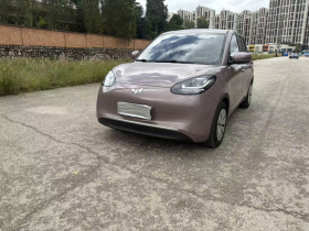 五菱汽车 五菱缤果 2023款 203km 轻享款