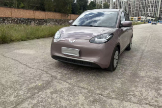 五菱汽车 五菱缤果 2023款 203km 轻享款