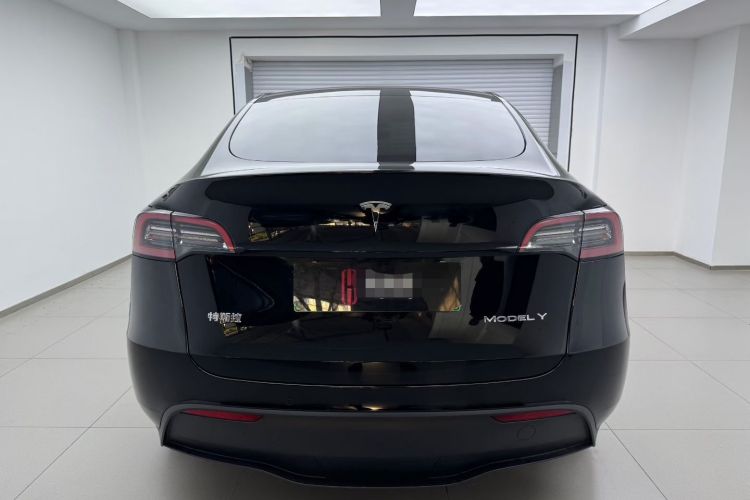 特斯拉 Model Y 2021款 标准续航后驱版车身外观6004