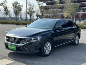 大众 帕萨特 2023款 改款 280TSI 商务版